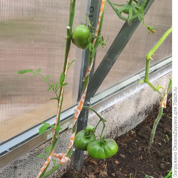 5 августа первая тройка лидеров