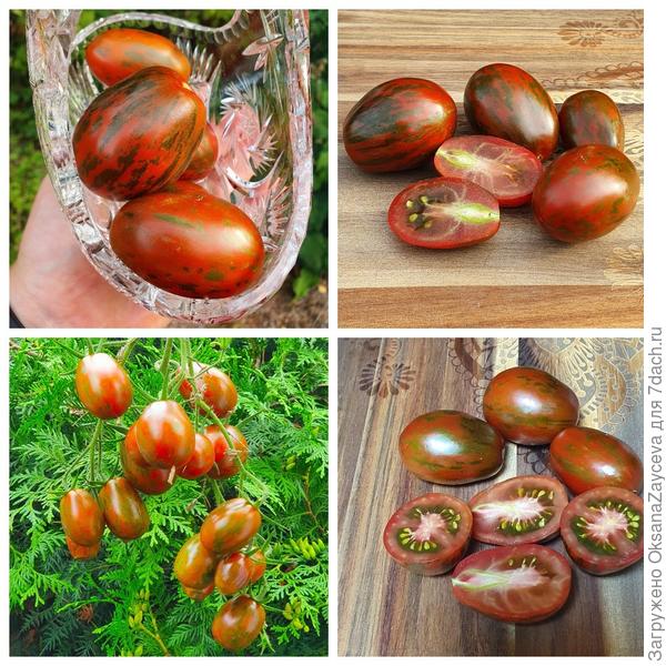 Суперэкзотик