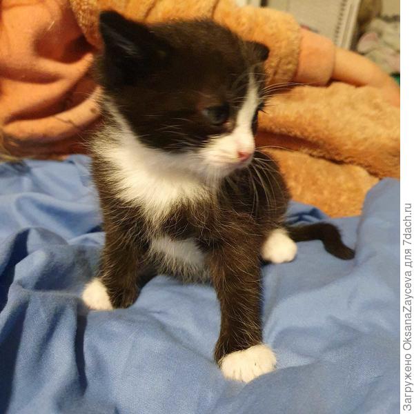 Просто Труся :)