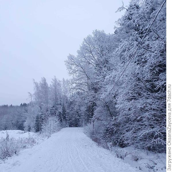 Сегодня утром