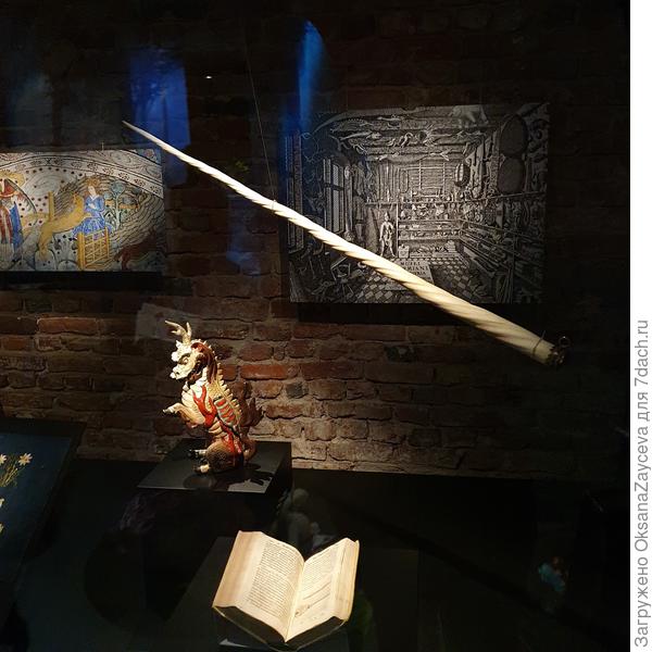 Рог единорога