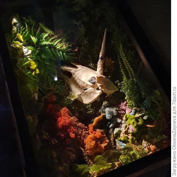 Череп единорога