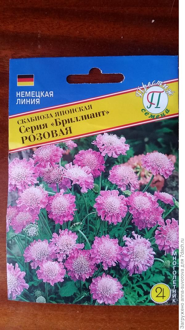 Посажена 23.02