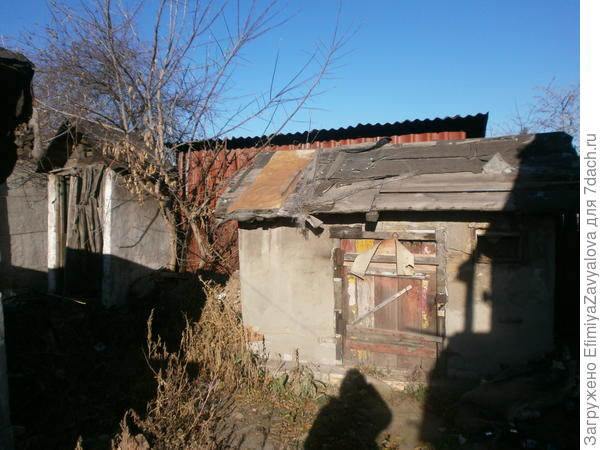 туалет и сараюшка