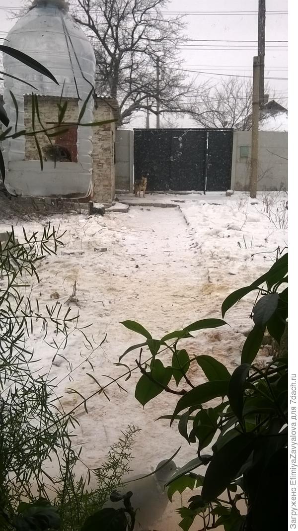 Это-поставили забор и ворота,из б/у кирпичей из разобранной"летней кухни" сложили угольник