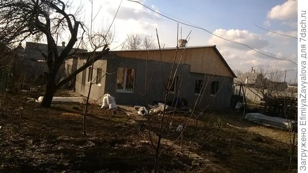 а это-чуть сбоку,чтоб похвастаться посаженными в первый год вишней,черешней,абрикосом и сливой.до старой груши все руки не доходили,а этой зимой,когда пилили орех-мальчики срезали сухую верхушку,и пару ненужных веток,постепенно хочу омолодить ее..