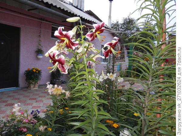 Тоже ОТешечка