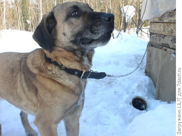 Я твоя самая лучшая подружка, правда же?