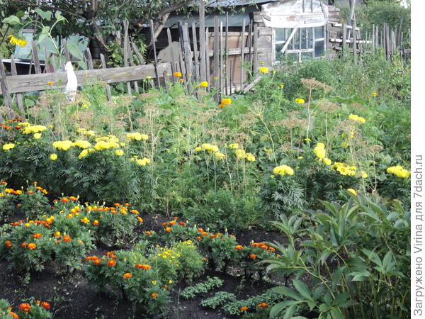 попытка наведения красоты