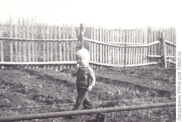 инспектор