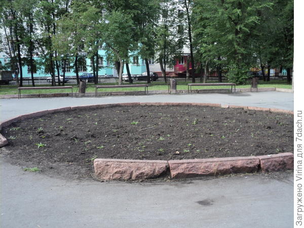 круглая клумба