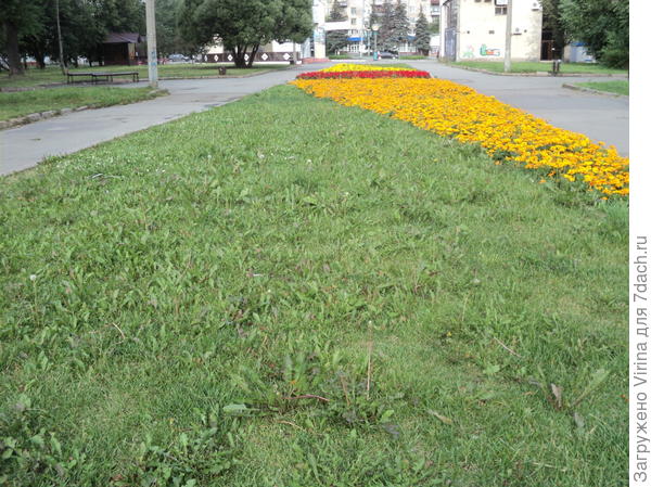 прямоугольная клумба