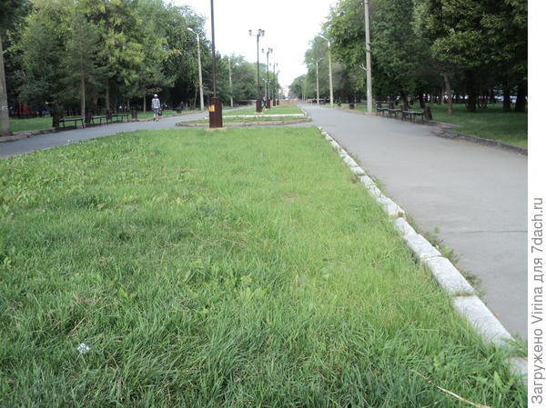 сквер