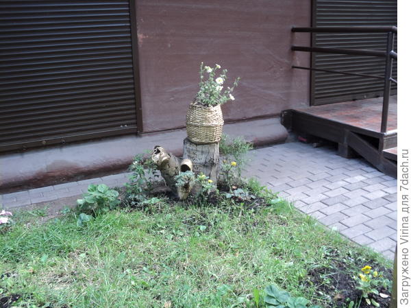 декор