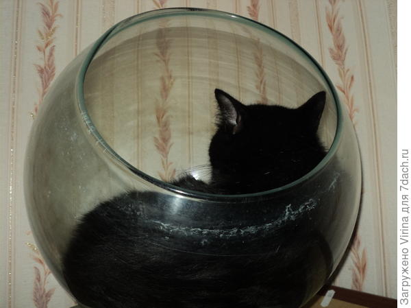 Матильда спит