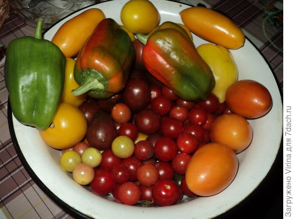 помидоры с перцем