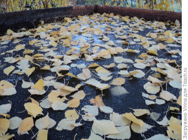 лед в баке с водой