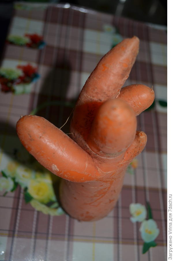 смешная морковка