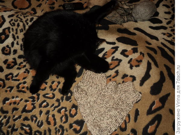 ну, и мне тоже... Матильда инспектирует