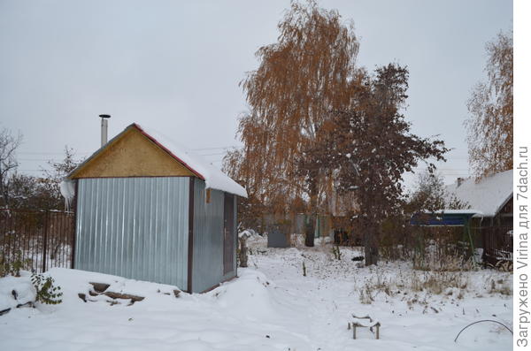 сад