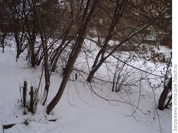 А у нас во дворе...