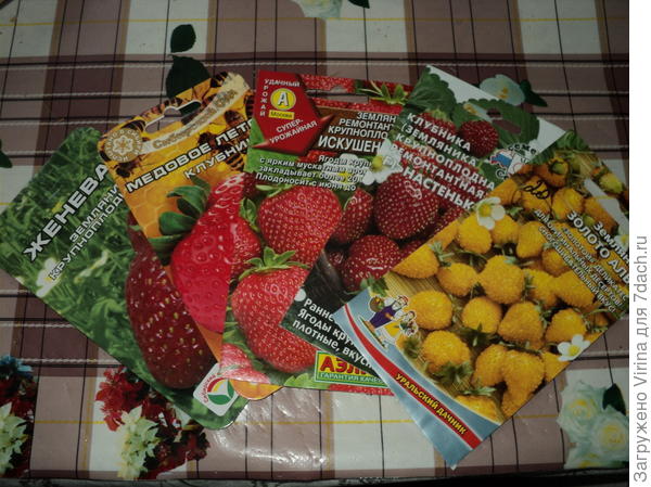 Всего по немногу