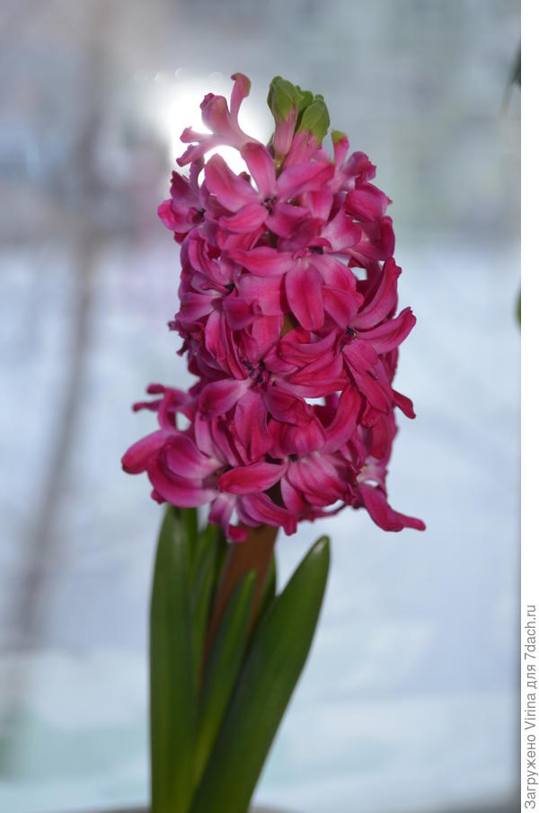 С праздником!