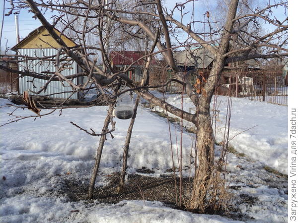 кормушка для птичек