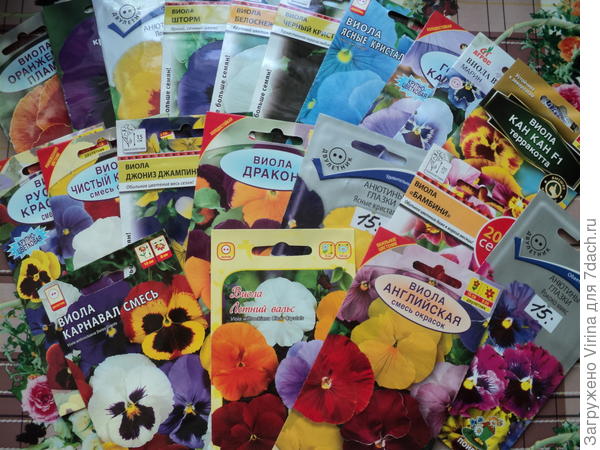 боХатьство...