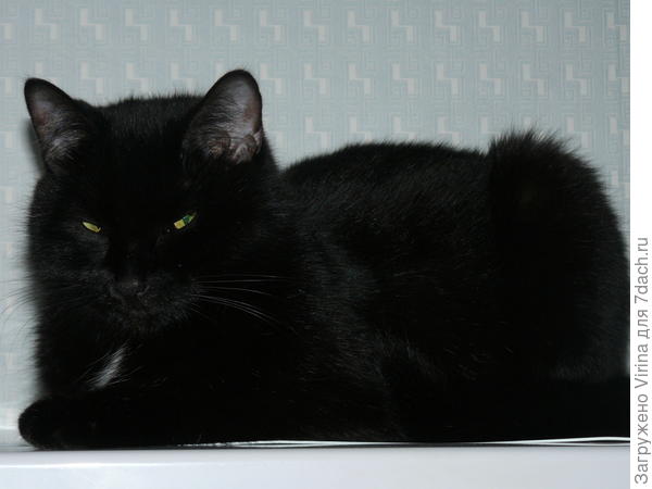 Я все вижу...