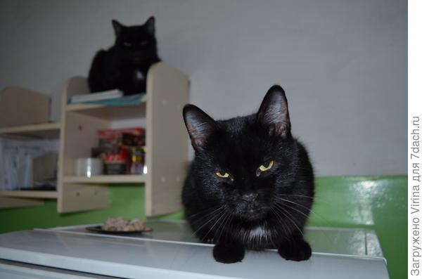 Моя вкусняшка...