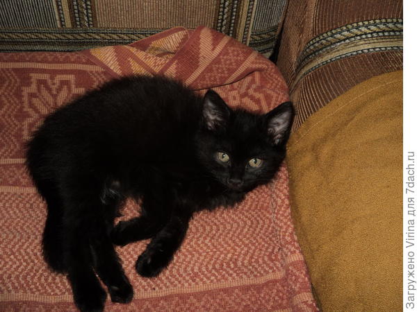 Дайте отдохнуть!