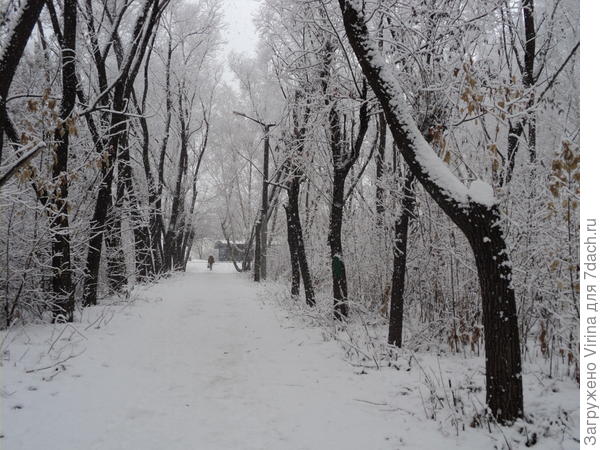 Дорога на оставновку...