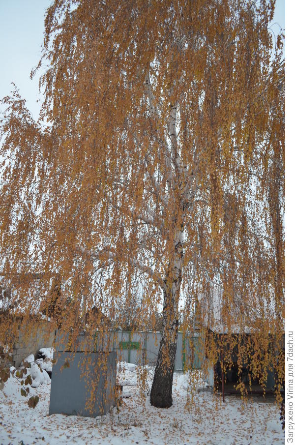 ... и почти зимой