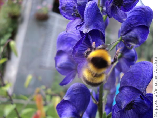 Много работы...