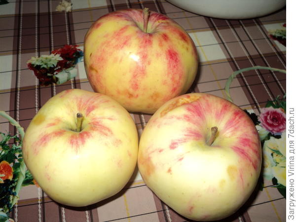 так вот тебе яблочко...