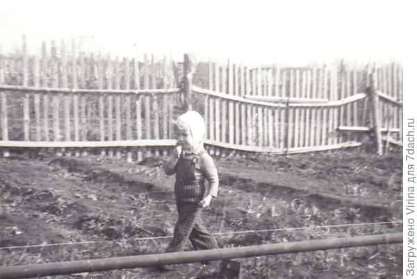 Я - инспектор (1977)