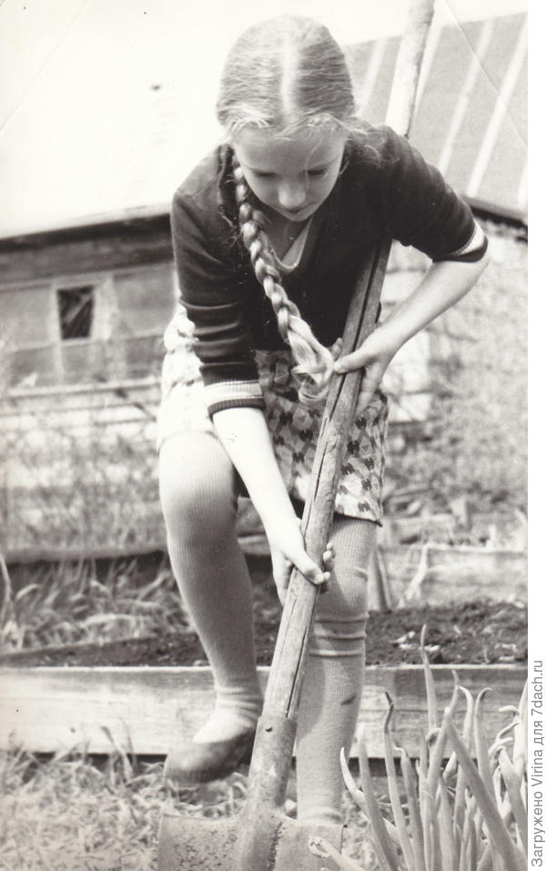 с лопатой...