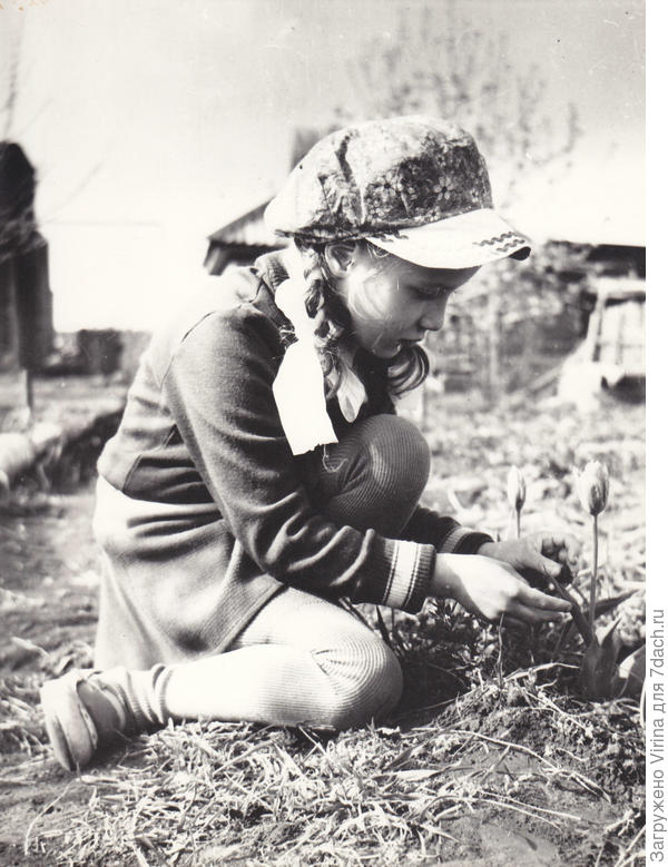 Ой, что выросло! (1981)