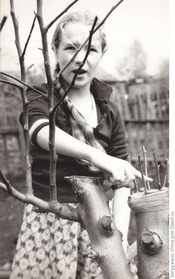 вы только приживитесь, дорогие... а уж мы найдем, куда вас деть - в рот, в компот или в варенье......