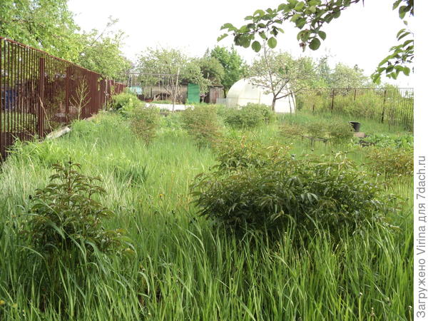 А в осоновном - как-то так...