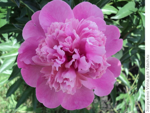 А это - тебе )))