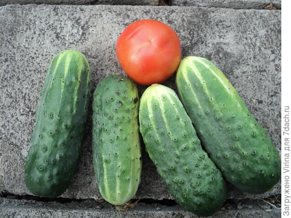 да быстро кончились...