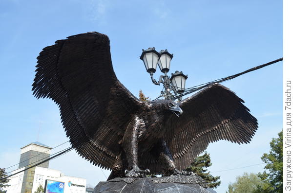 Орел