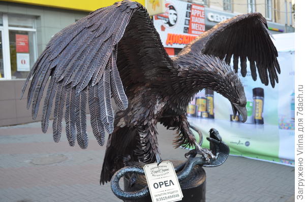 тоже орел