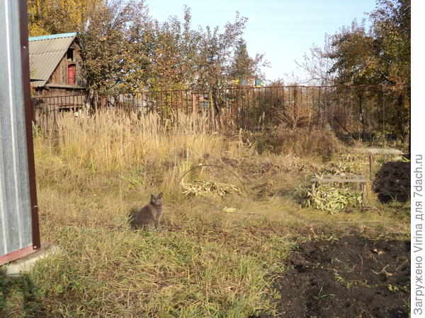 Охрана в дозоре