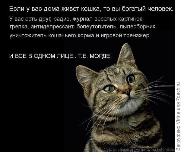 ну как его не любить? (фото из инета)