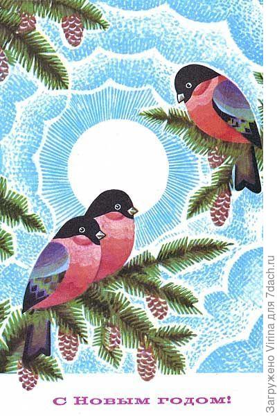 Яночка, с Новым годом!