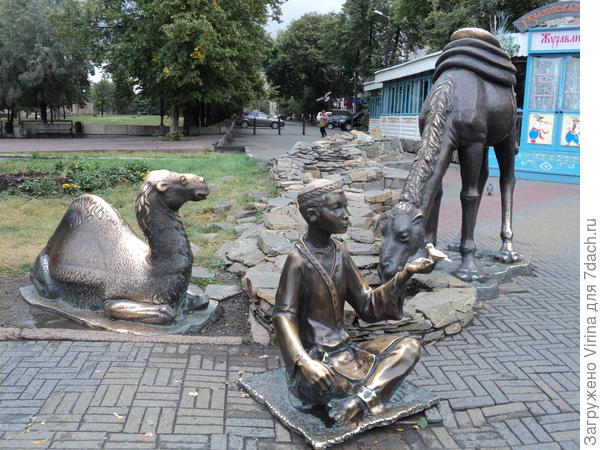 У нас больше верблюды...