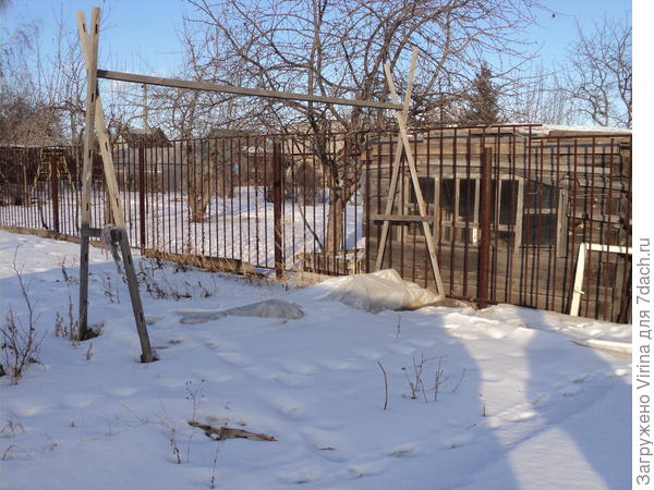 Винограда не будет, замерз еще в декабре